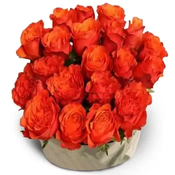 Αντέλ λουλούδια- Φανταχτερό πορτοκάλι Λουλούδι Παράδοση