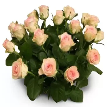 Aidonochorion פרחים- פינקי רוזרי פרח משלוח