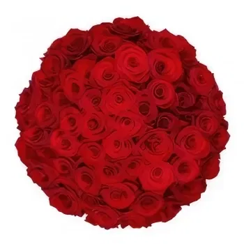 Holland online Blomsterhandler - 50 røde roser | Blomsterhandler Buket