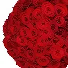 Amsterdam-Zuidoost flowers  -  50 red roses | Florist Flower Bouquet/Arrangement