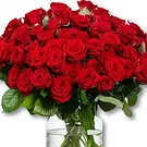 Maastricht Blumen Florist- 50 Premium rote Rosen - Red Naomi | Züchter Bouquet/Blumenschmuck