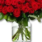 Maastricht Blumen Florist- 50 Premium rote Rosen - Red Naomi | Züchter Bouquet/Blumenschmuck