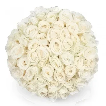אמסטרדם פרחים- 50 ורדים לבנים | מוֹכֵר פְּרָחִים זר פרחים/סידור פרחים
