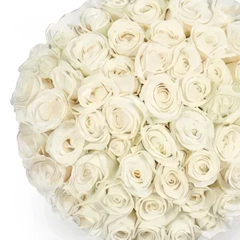 アムステルダム 花- 50本の白いバラ |花屋 花束/フラワーアレンジメント