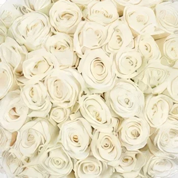 Αϊντχόβεν λουλούδια- 50 λευκά τριαντάφυλλα | Ανθοπώλης Μπουκέτο/ρύθμιση λουλουδιών