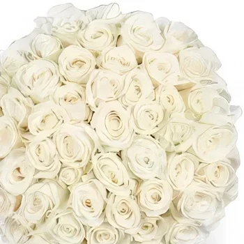 Eindhoven blomster- 50 hvite roser | Blomsterhandler Blomsterarrangementer bukett
