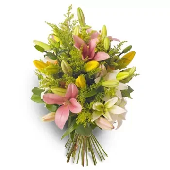 flores Alinda floristeria -  aire de primavera Ramos de  con entrega a domicilio
