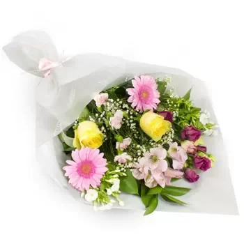Saloniki kwiaty- Słoneczne Kwiaty