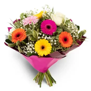 אלמניה פרחים- רגשות טריים פרח משלוח