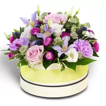 Agiovlasitika bloemen bloemist- Ronde doos van de hemel Bloem Levering