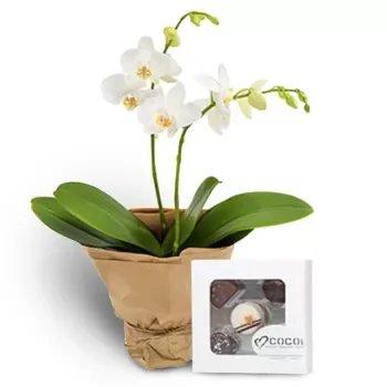 Bergen Blumen Florist- Süße Freude & weiße Orchidee Blumen Lieferung