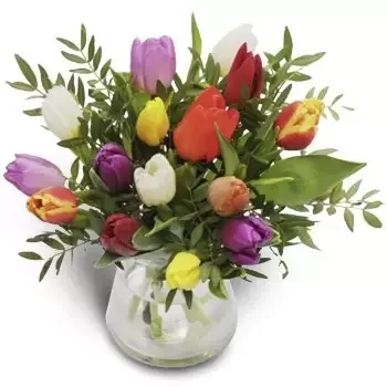 flores de Oslo- arco-íris de tulipas Flor Entrega