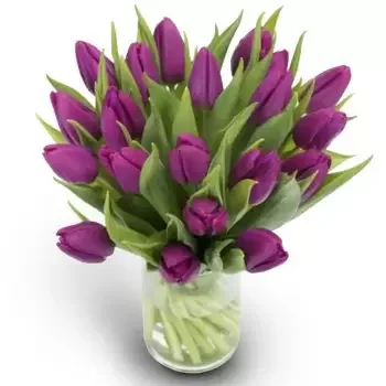 ดอกไม้ ออสโล - ไวโอเล็ต ทิวลิป เอลิแกนซ์ ดอกไม้ จัด ส่ง