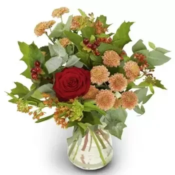 Donna cvijeća- Narančasta harmonija Cvijet Isporuke