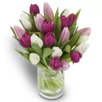 بائع زهور جريتيسين- البتلة الوردي زهرة التسليم