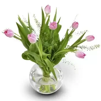 asgrenda bunga- Tulip Delight Bunga Penghantaran