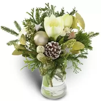 بائع زهور جلومشتاين- عجائب الشتاء زهرة التسليم