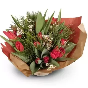 אוסלו פרחים- טוליפ רומנטיקה פרח משלוח