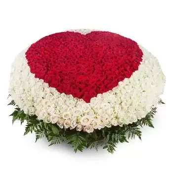 アブダビ オンライン花屋 - 審美的に美しい 花束
