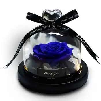 Hatta flowers  -  Royal Love Flower Delivery