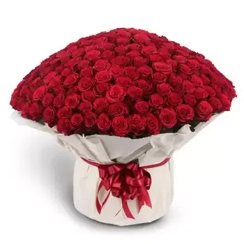 Fujairah kvety- Červená Masívna Partia