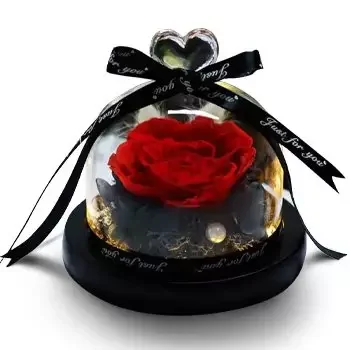 Al-Manamah 10 flowers  -  My Valentine Flower Delivery