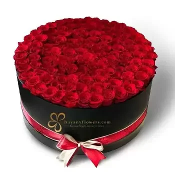 Sharjah cvijeća- Impresivne ruže Cvijet Isporuke