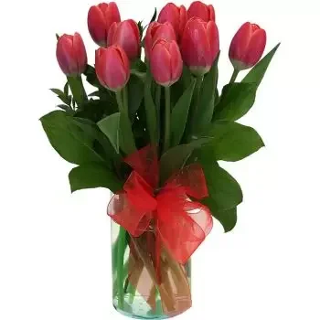 بائع زهور دير الأحمر- متعة بسيطة زهرة التسليم