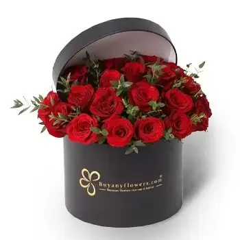 Sharjah cvijeća- Mirisni cvjetovi Cvijet Isporuke