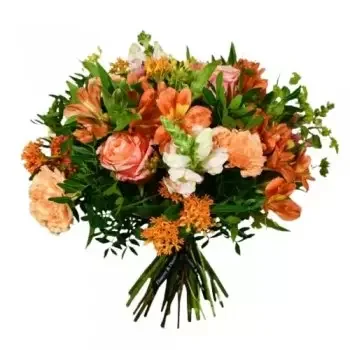 אלבורג פרחים- כתום מסמיק פרח משלוח
