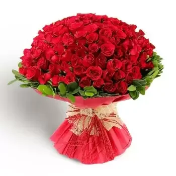 بائع زهور الساحل الشمالي- الحب الأحمر زهرة التسليم
