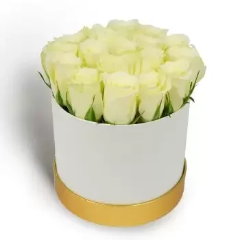 بائع زهور الكسندرا هيل- عاطفة ناعمة زهرة التسليم