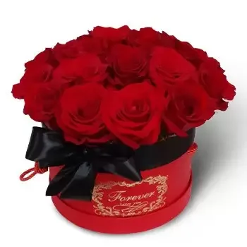 סנט מארטן פרחים- ורדים נלהבים פרח משלוח