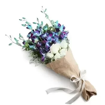 Asz-Szarika kwiaty- Niebieska Niespodzianka