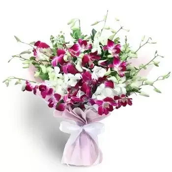Al Samhah bloemen bloemist- Cutie Pie-orchideeën Bloem Levering
