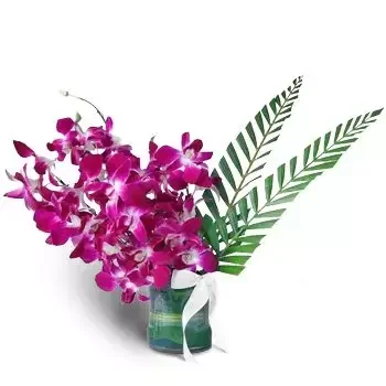Al-Qiṭa 5 bloemen bloemist- Uitzonderlijke vreugde Bloem Levering