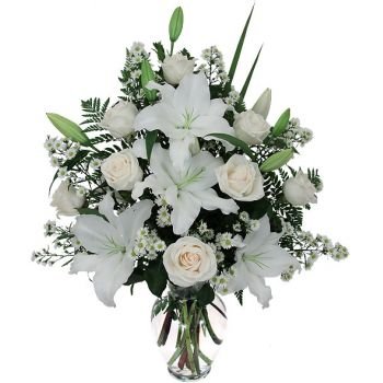 بائع زهور فيونجيرولا- جمال اللون الأبيض زهرة التسليم