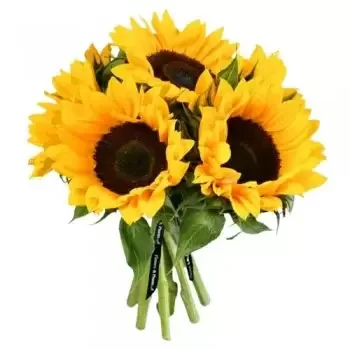 Bradford kukat- Aurinkoiset Hymyt Kukka Toimitus
