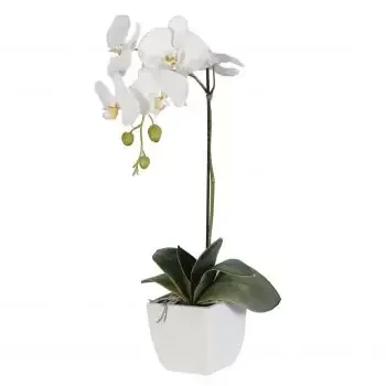 سانتياغو الزهور على الإنترنت - أناقة اللون الأبيض باقة