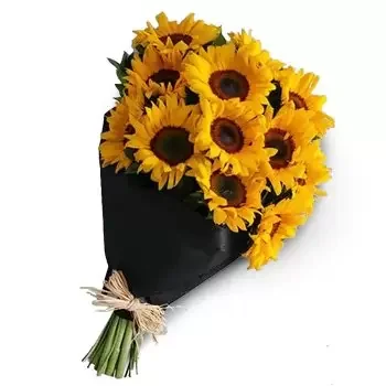 flores Aṭ-Ṭay floristeria -  Explosión de sol Ramos de  con entrega a domicilio