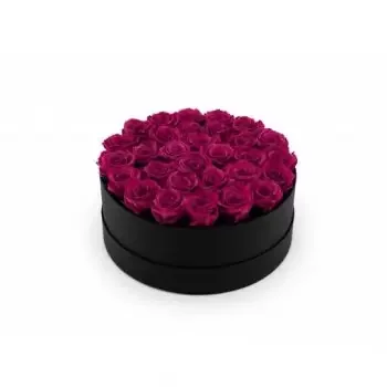 Alton Whitedown kvety- Horúca ružová Kvet Doručenie