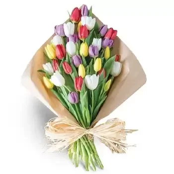 flores Al-Yufrah 4 floristeria -  Elección del jardín Ramos de  con entrega a domicilio