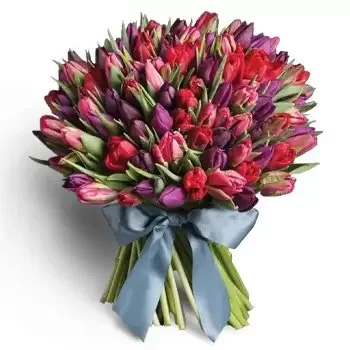 Fujairah kvety- Zmiešaný Dotyk