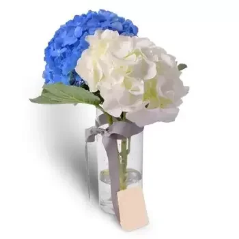Al Rigga bloemen bloemist- Koel blauw Bloem Levering