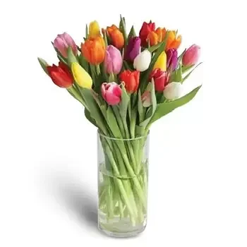 flores Dafan Al Nakheel floristeria -  Luz solar Ramos de  con entrega a domicilio