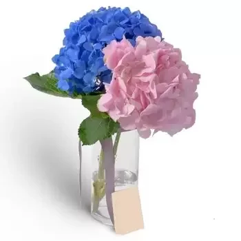 flores Al-Qarhud floristeria -  sonrojarme Ramos de  con entrega a domicilio
