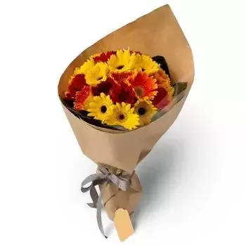flores Al Azra, Al Ezra floristeria -  Vibraciones de la mañana Ramos de  con entrega a domicilio