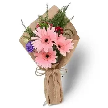 Fujairah Free Zone blomster- Rosa kronblad Blomst Levering