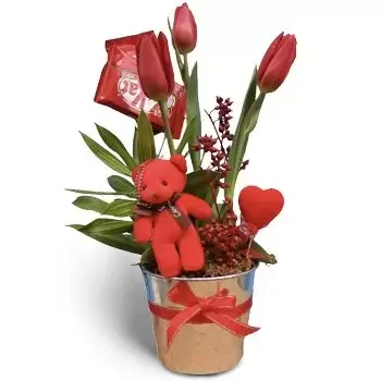Adma (adma) cvijeća- Crveni dodir Cvijet Isporuke