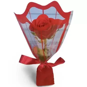 Amimun cvijeća- Crveni dar Cvijet Isporuke